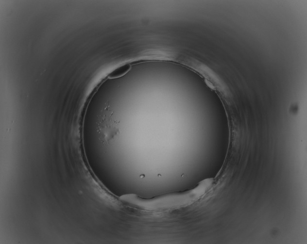 X0000096651192200802121125