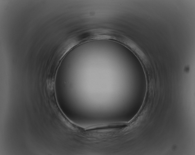 X0000096651193200802121125