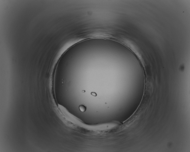 X0000096651195200802121125