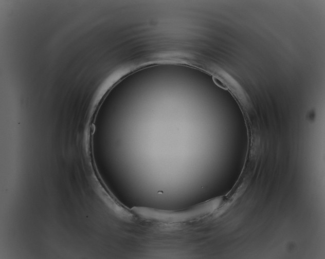 X0000096651196200802121125