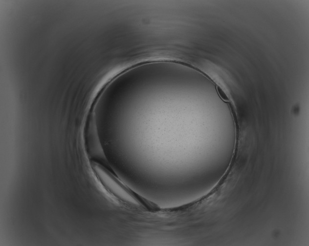 X0000096651197200802121125