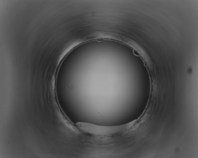 X0000096651198200802121125
