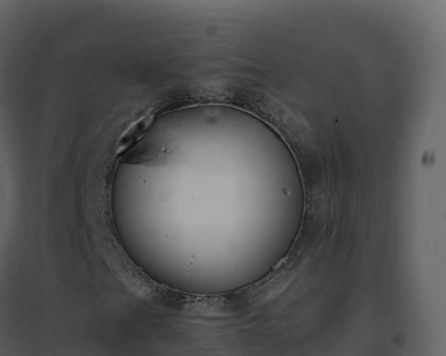 X0000096651201200802121125