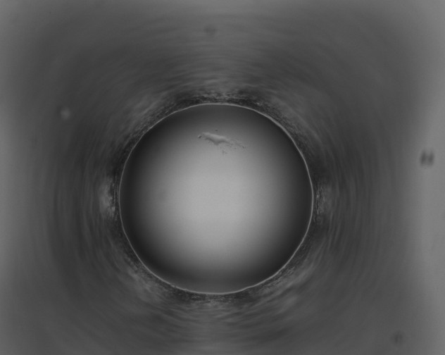 X0000096651202200802121125