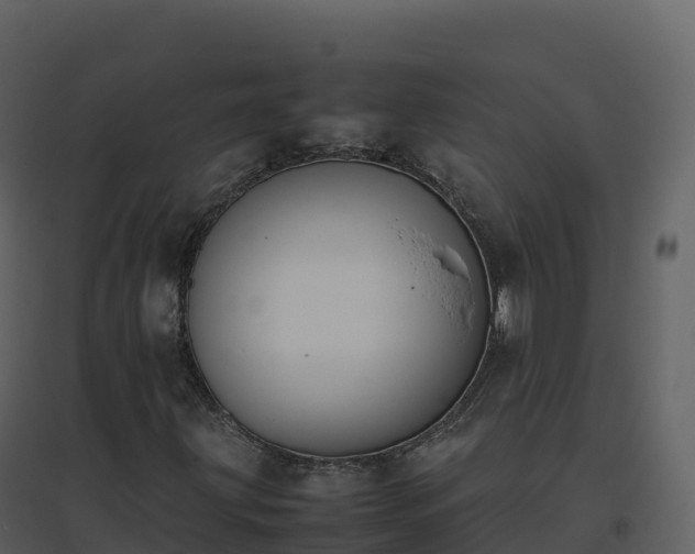 X0000096651203200802121125