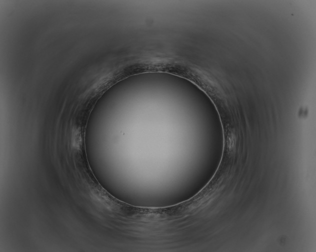 X0000096651204200802121125