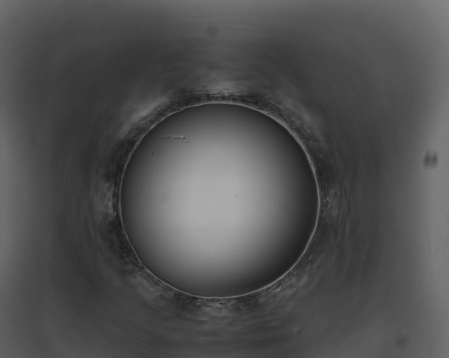 X0000096651205200802121125
