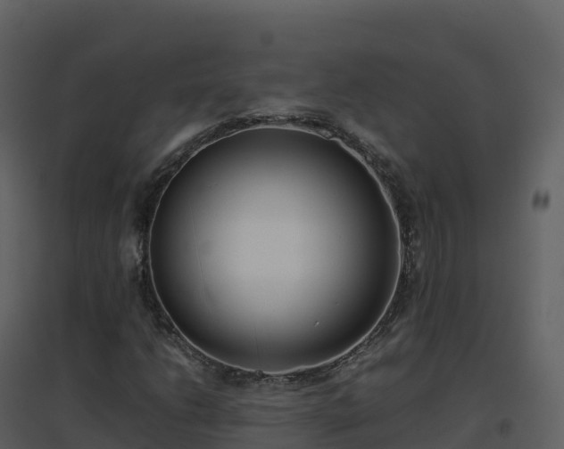 X0000096651206200802121125