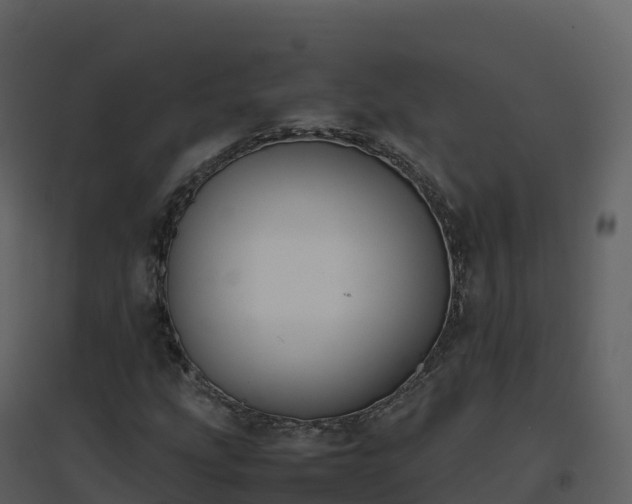 X0000096651207200802121125