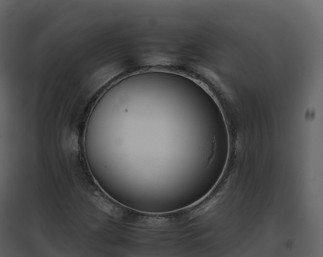 X0000096651209200802121125
