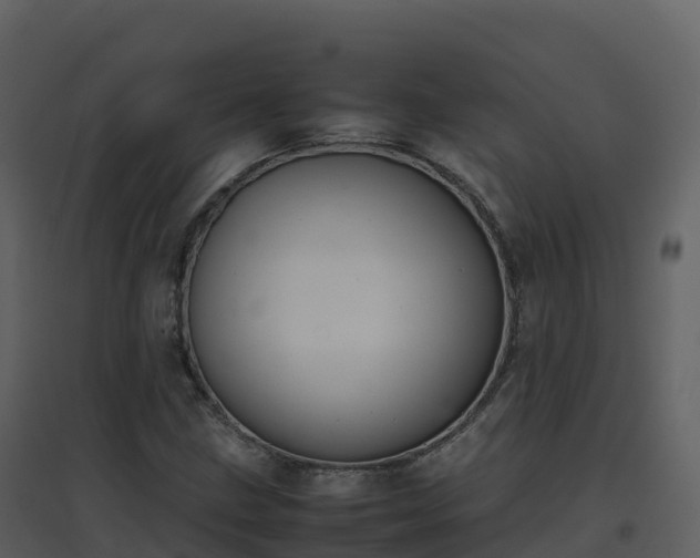 X0000096651211200802121125