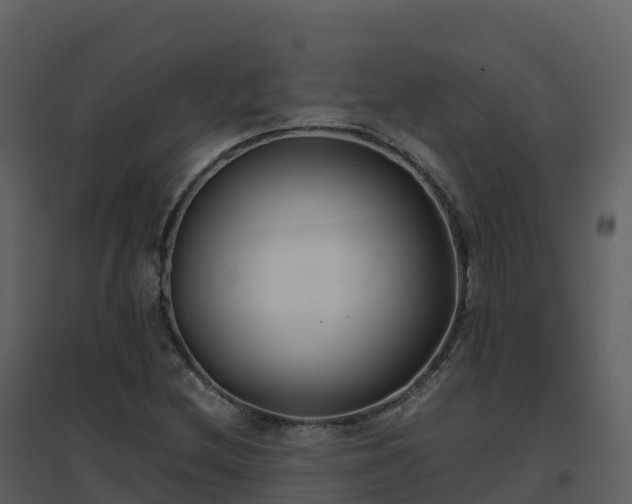 X0000096651212200802121125