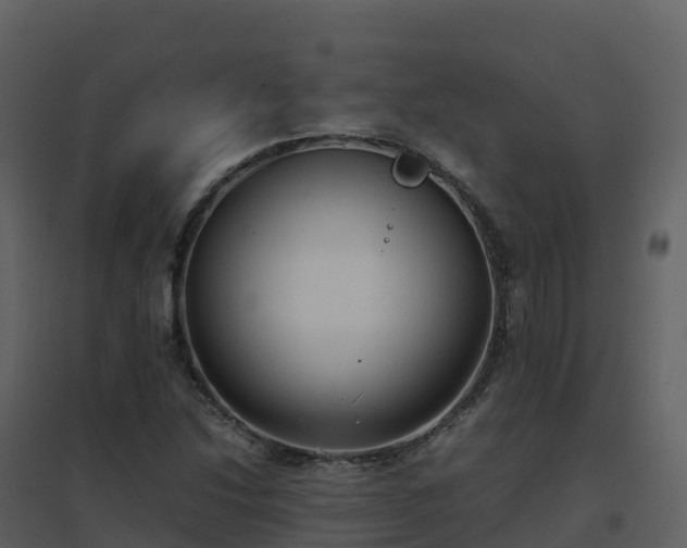 X0000096651214200802121125