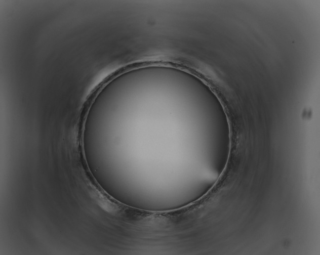 X0000096651216200802121125