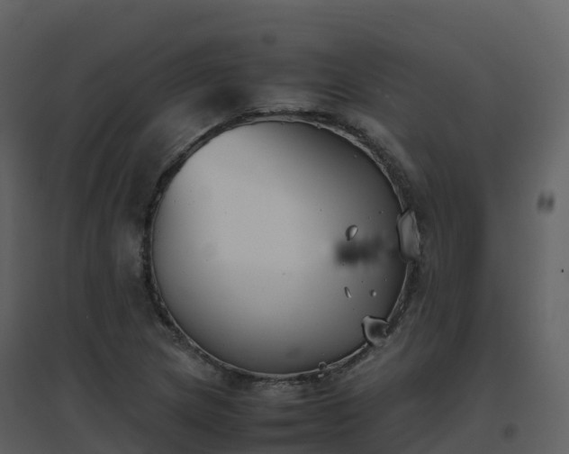 X0000096651217200802121125