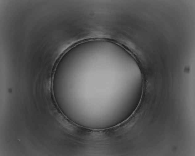 X0000096651220200802121125