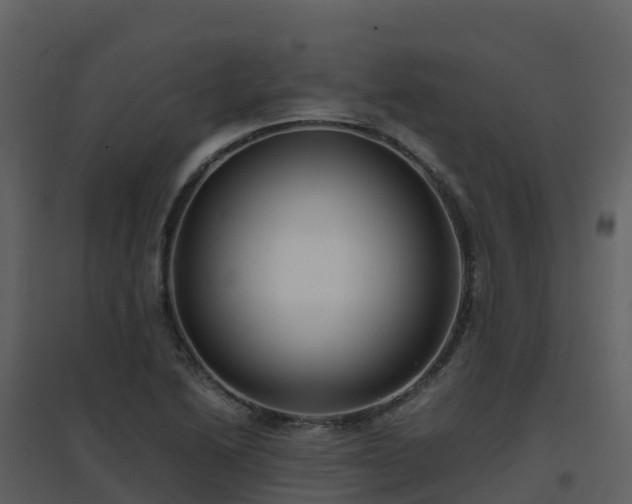 X0000096651222200802121125