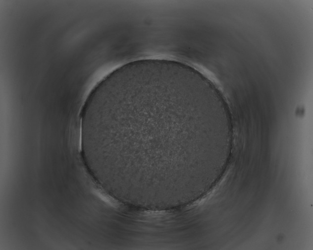 X0000096651223200802121125