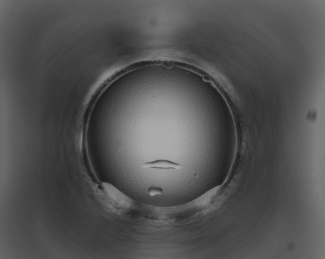 X0000096651224200802121125