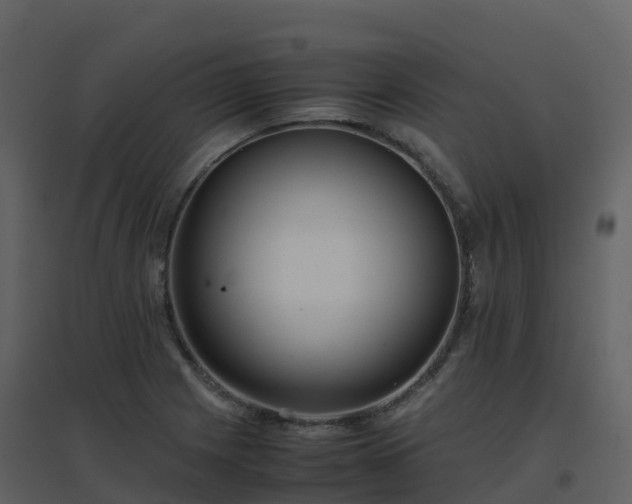 X0000096651225200802121125