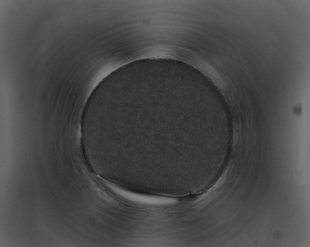 X0000096651226200802121125