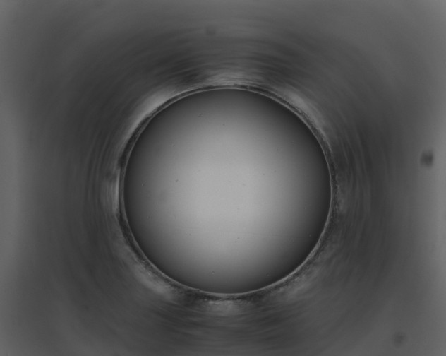 X0000096651227200802121125