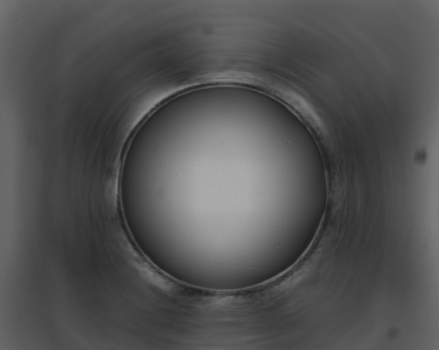 X0000096651228200802121125