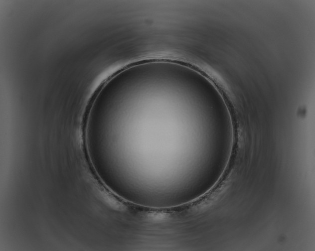 X0000096651230200802121125