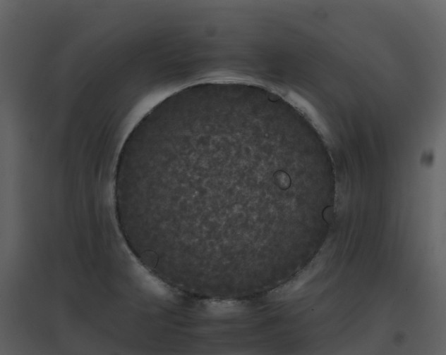 X0000096651231200802121125