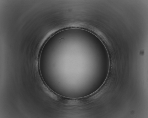 X0000096651232200802121125