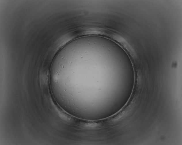 X0000096651233200802121125