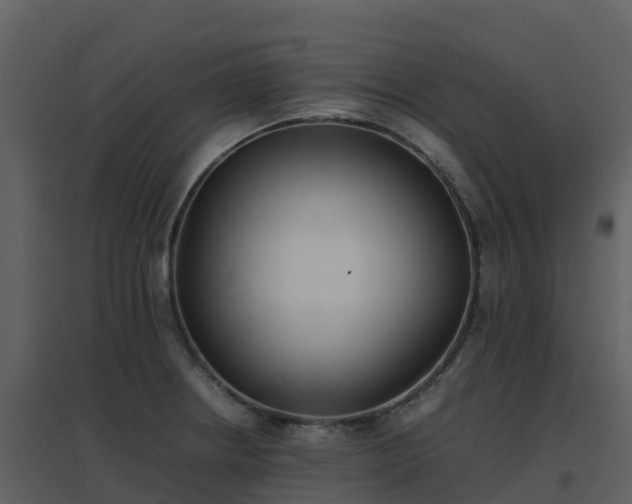 X0000096651234200802121125