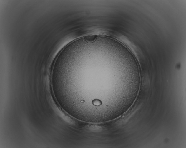 X0000096651235200802121125