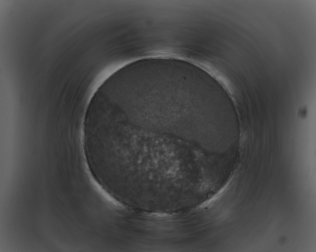 X0000096651239200802121125