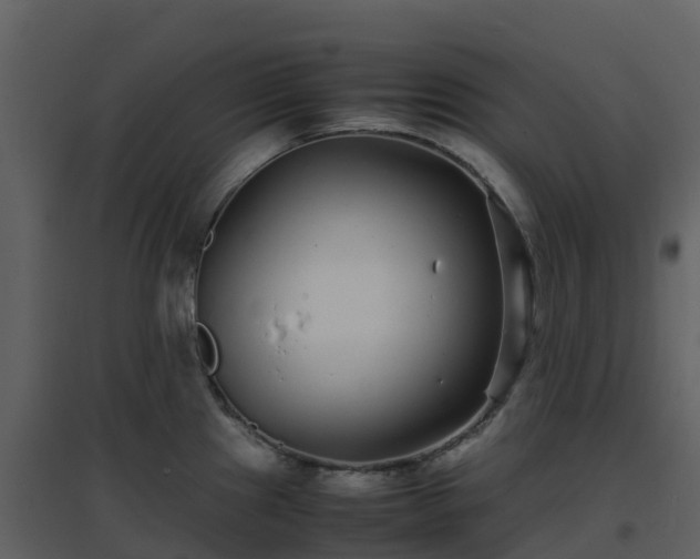 X0000096651241200802121125