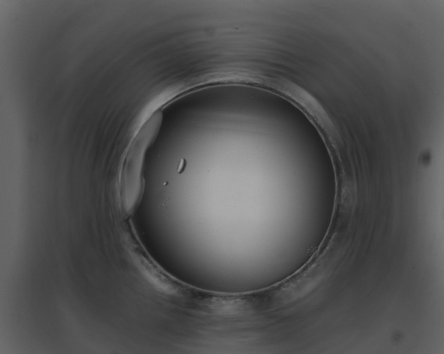 X0000096651242200802121125
