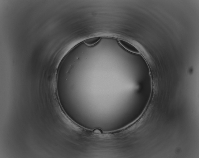X0000096651244200802121125
