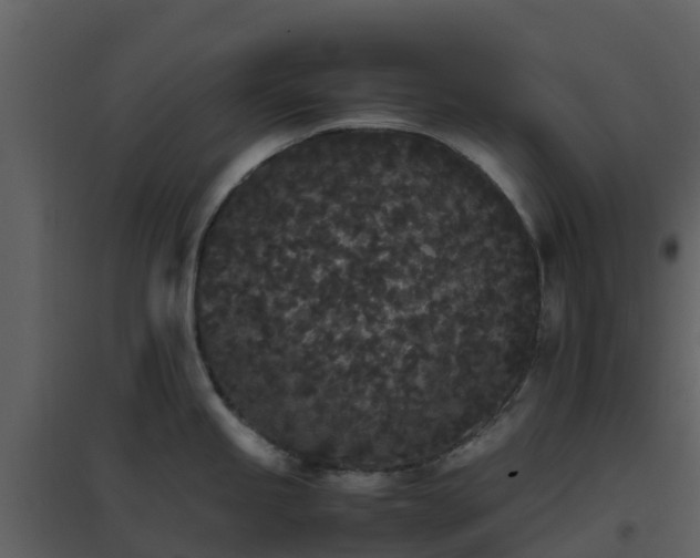 X0000096651245200802121125
