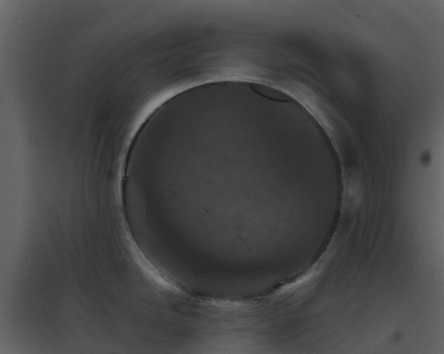 X0000096651246200802121125