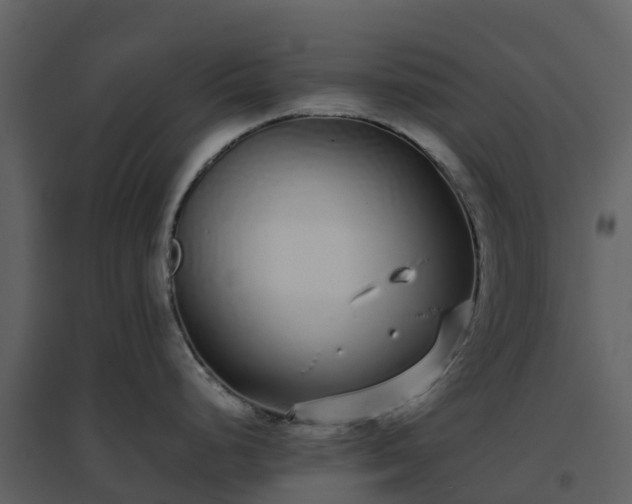 X0000096651248200802121125