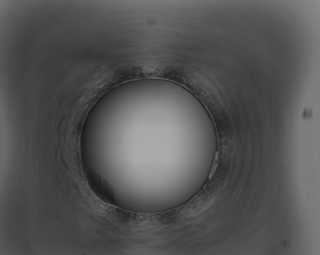 X0000096651249200802121125