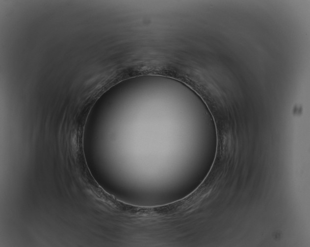 X0000096651250200802121125