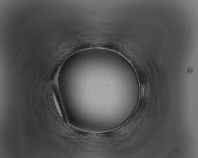 X0000096651251200802121125