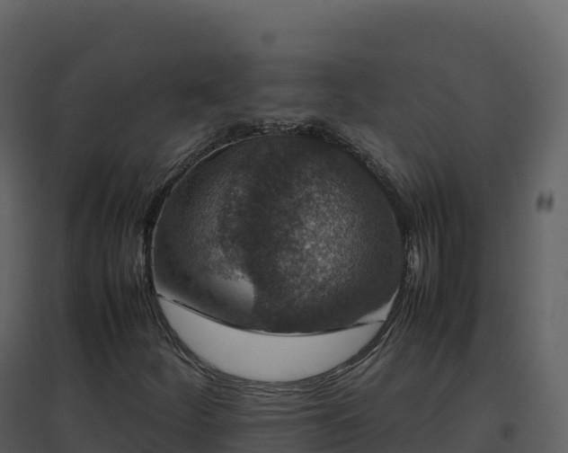 X0000096651252200802121125