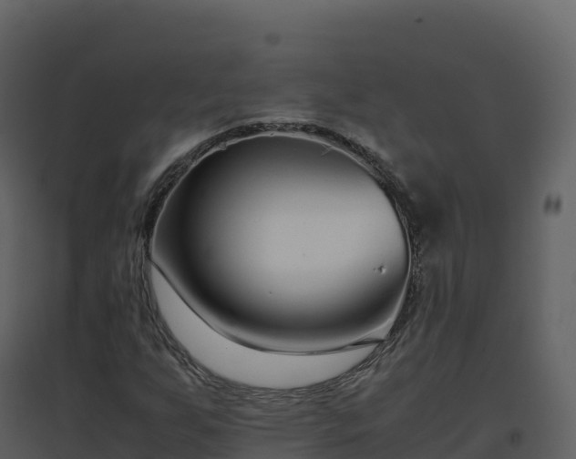 X0000096651255200802121124