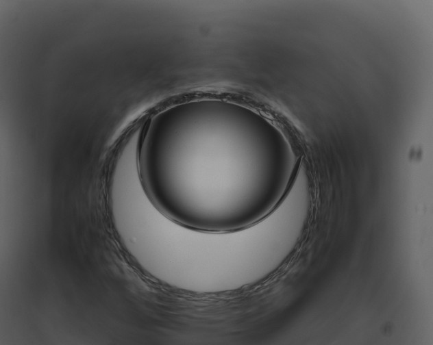 X0000096651256200802121124