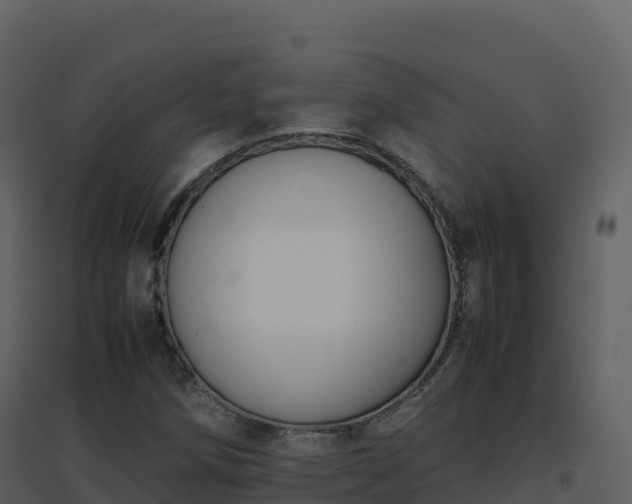 X0000096651258200802121124