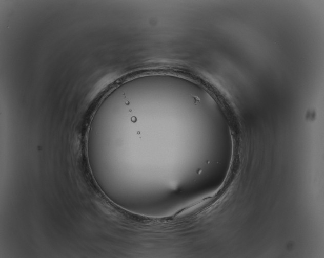 X0000096651259200802121124