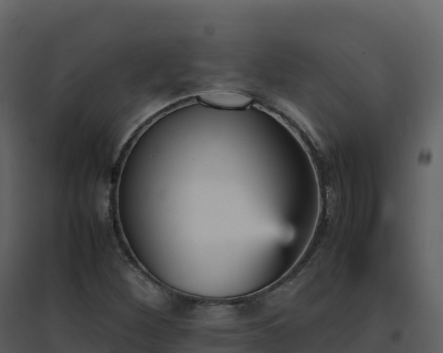X0000096651260200802121124