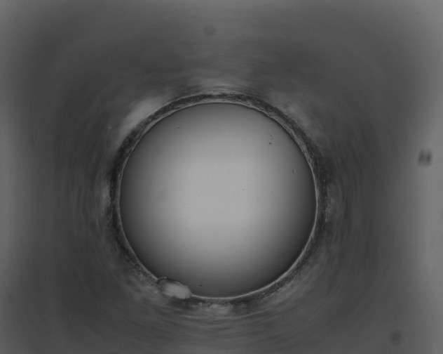 X0000096651261200802121124